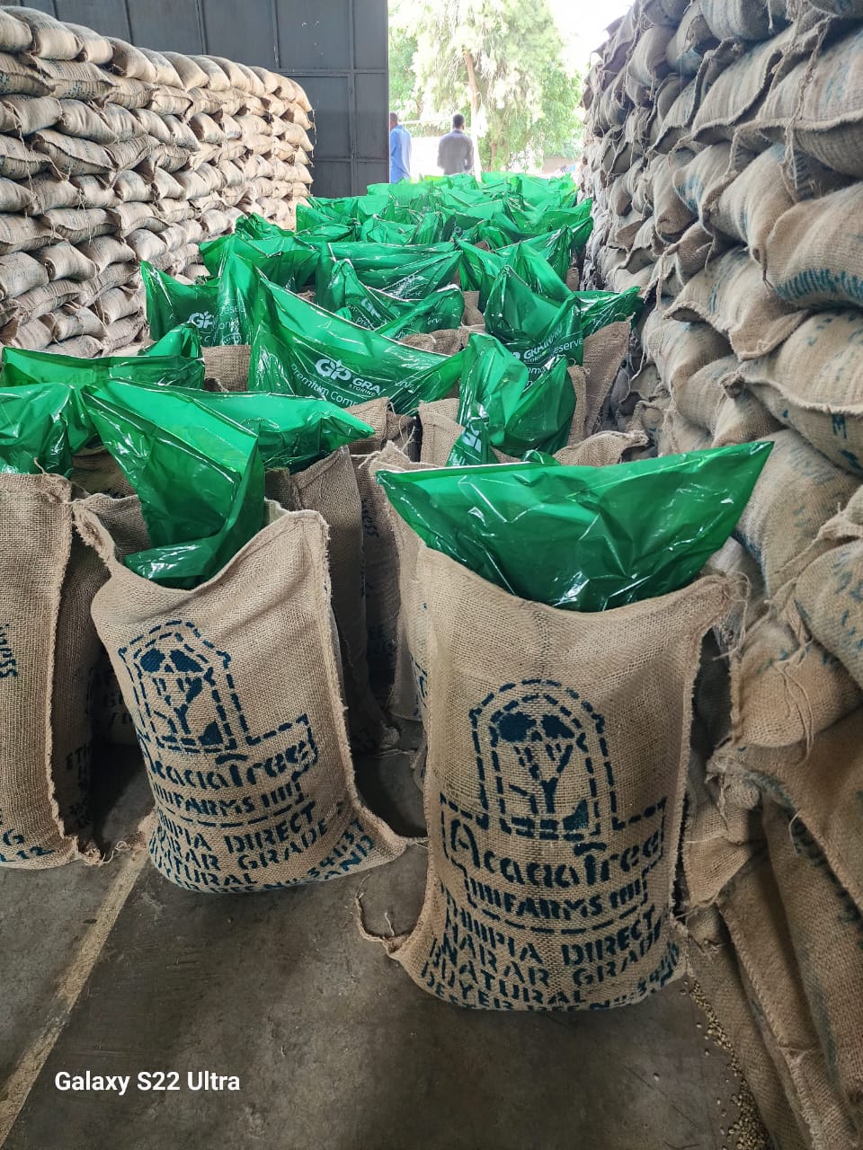 Harar Mesala Roasted Coffee